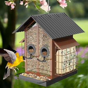 Bird feeder with seeds and a bird flying in front, set against a blurred natural background at Pet Servo