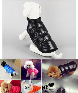 Black puffer jacket on a mannequin with dogs wearing colorful jackets in various settings at Pet Servo