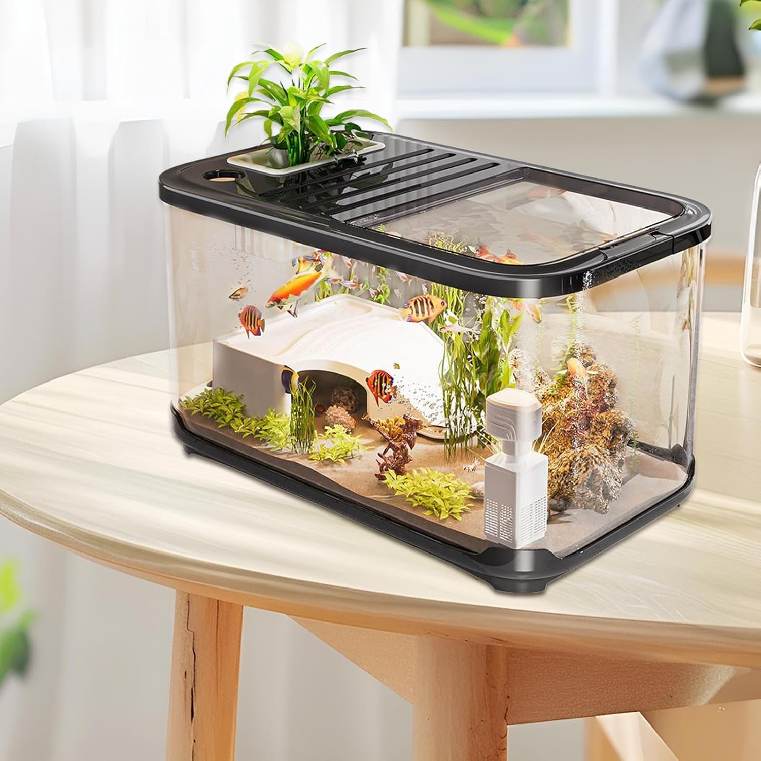 Fish tank with fish and decorations on a wooden table at Pet Servo