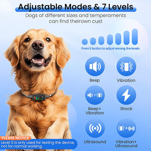 Dog wearing a collar with adjustable modes and levels displayed on a blue background at Pet Servo