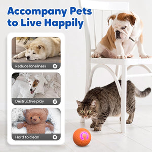 Product advertisement showing a dog and cat with text about pet companionship and a ball product at Pet Servo