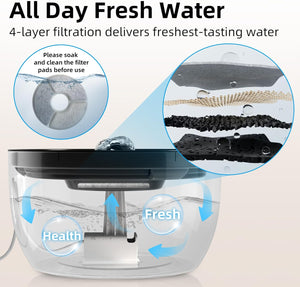 Buy Casfuy 3L Stainless Steel Pet Feeder LED Light Pro at Pet Servo