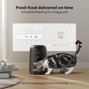 Cat eating from a smart pet feeder with a digital display in the background.