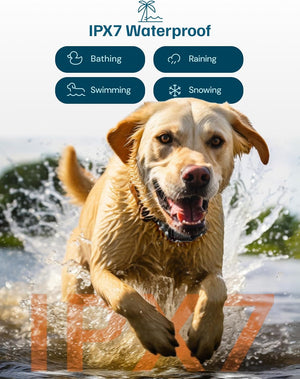 Dog running through water with IPX7 waterproof text and icons above at Pet Servo