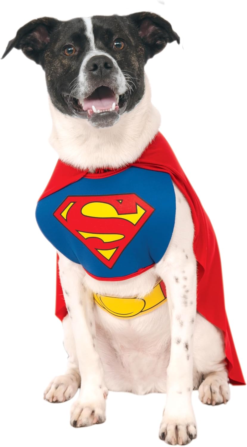 Dog wearing a Superman costume with a red cape and blue chest emblem at Pet Servo