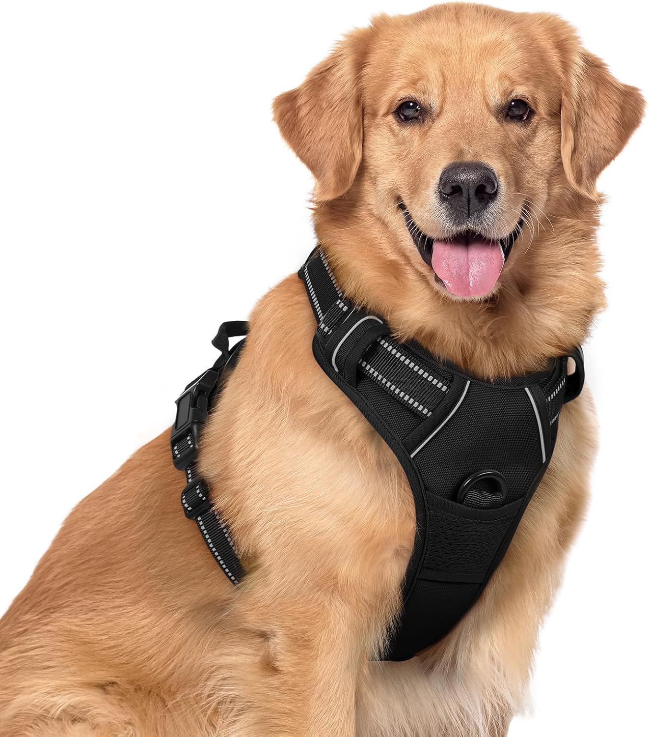 Rabbitgoo - Outdoor Adjustable Pet Harness (Black) at Pet Servo