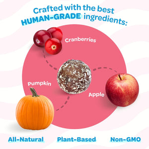Ingredients used in a product, including cranberries, pumpkin, and apple, with text highlighting 'Human-Grade' and 'All-Natural' attributes at Pet Servo