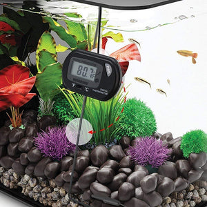 Digital thermometer in an aquarium with plants and fish at Pet Servo
