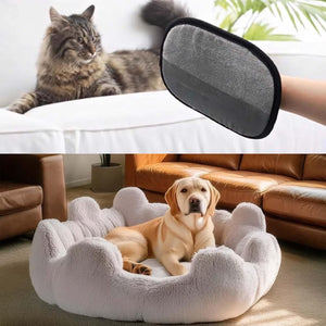 Cat and dog lying on pet beds with a paw pad held above them at Pet Servo