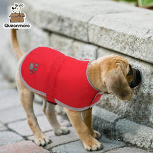 Dog wearing a red coat standing on a stone path with 'Queenmore' branding at Pet Servo