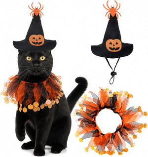 Black cat wearing a Halloween costume set with a black witch hat, orange spider topper, jack-o'-lantern face, and an orange sheer ruffled collar with gold coin accents. Separate views of the hat and collar are shown on a white background at Pet Servo