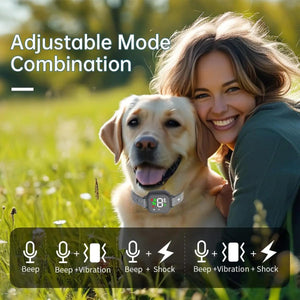 Woman with a dog in a grassy field, featuring adjustable mode combination text and icons at Pet Servo