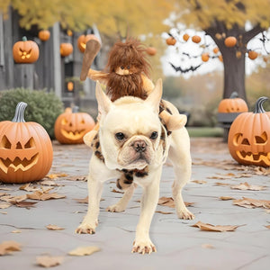 A small cream-colored French bulldog wearing a leopard-print harness and a brown furry hood with a horn, standing on a stone path outdoors surrounded by jack-o'-lanterns and autumn leaves.