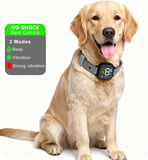 Dog wearing a bark collar with features highlighted on a white background at Pet Servo
