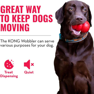 Dog with a red KONG Wobbler toy in its mouth on a white background with promotional text at Pet Servo