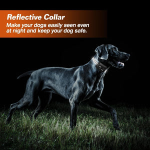 Dog wearing a reflective collar in a dark field with text about reflective collars at Pet Servo
