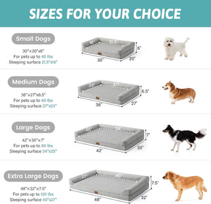 Size chart for a raised dog bed showing dimensions and weight limits for small, medium, large, and extra-large dogs, with small dog models pictured next to each size category at Pet Servo