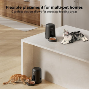 Two cats interacting with a pet feeder in a modern home setting.