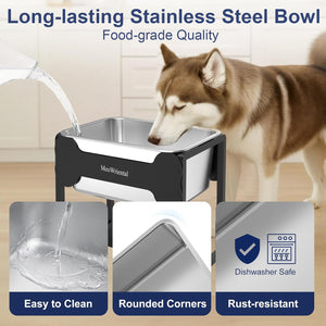 Dog drinking from a stainless steel bowl with features highlighted on a white background at Pet Servo