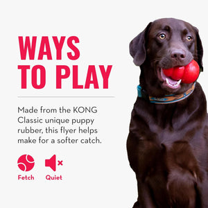Dog playing with a red ball, promotional text about KONG Classic product, on a white background at Pet Servo