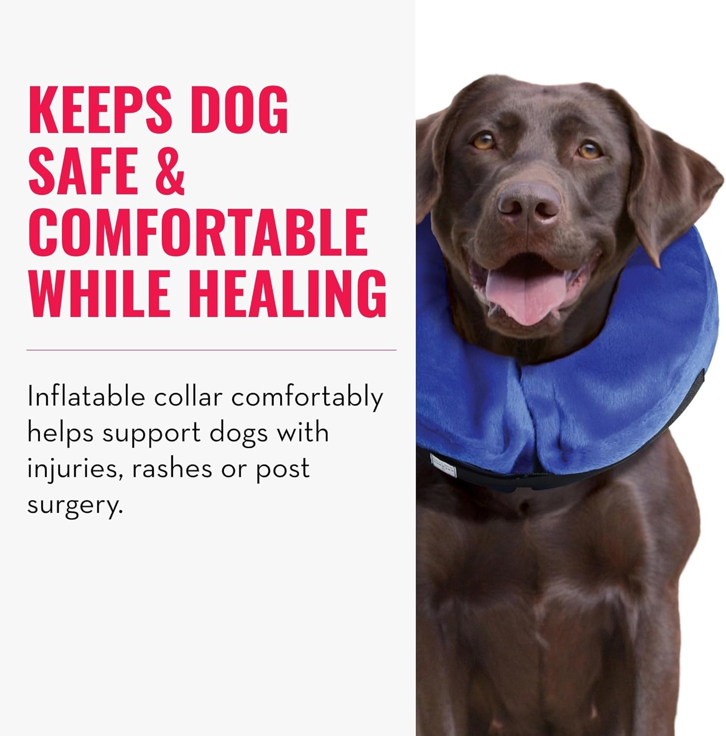 Dog wearing a blue inflatable collar with text about its benefits on a white background at Pet Servo