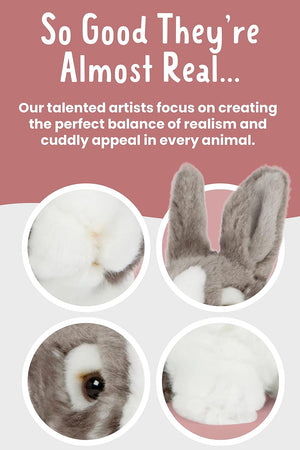 Living Nature - Brown,Grey Pet Rabbit 18cm Plush Toy - Petservo
