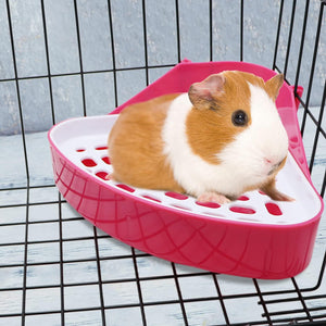 Guinea pig inside a pink plastic litter tray on a wire cage at Pet Servo