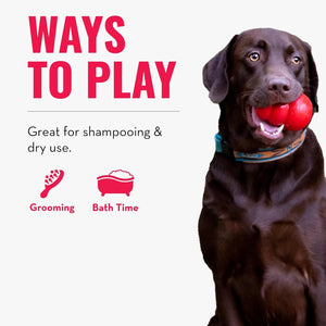Dog holding a red ball with text about ways to play, grooming, and bath time on a white background at Pet Servo