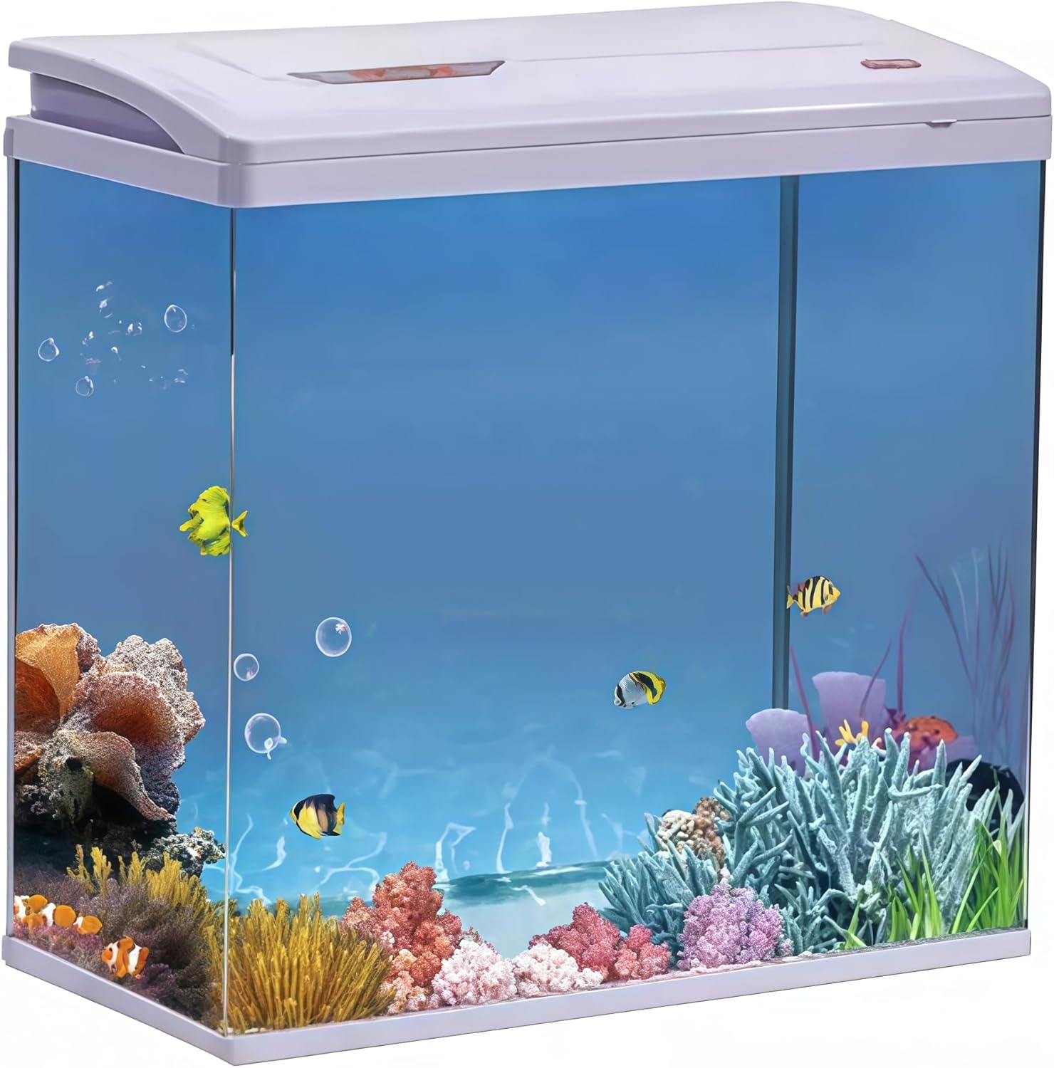 Aquarium 24L with fish and coral decorations on a white background at Pet Servo