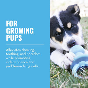 Dog playing with a blue toy on grass, with text about benefits for growing puppies at Pet Servo