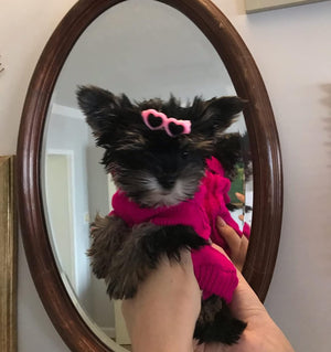 Knitted Sweater S – Warm & Stylish for Small Pets - Petservo