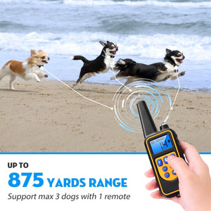 Hand holding a remote control device with dogs running on a beach, emphasizing range and multiple dog support at Pet Servo