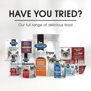 Assorted Fussy Cat pet food products on a white background with text asking 'Have you tried?'