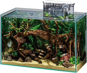 Fish tank with decorative elements and fish inside at Pet Servo