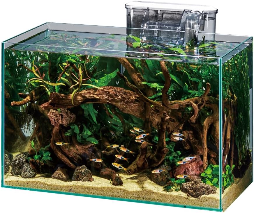 Fish tank with decorative elements and fish inside at Pet Servo