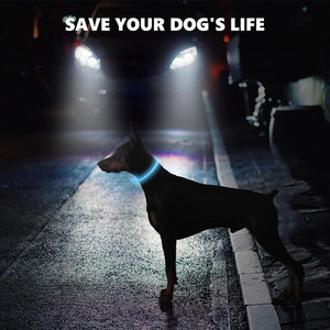 Dehlso - LED Dog Collar – Rechargeable Light-Up Safety Gear - Petservo