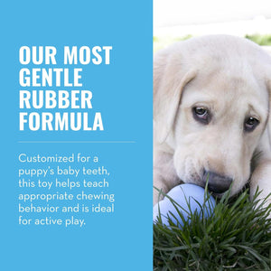 Dog chewing on a blue rubber toy with text about the product's gentle formula for puppies at Pet Servo