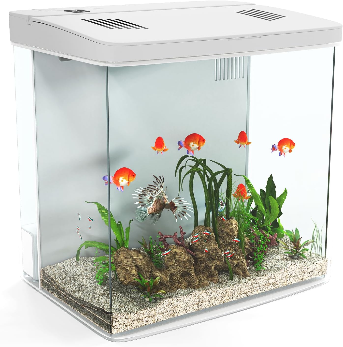 Fish tank with colorful fish and aquatic plants on a white background at Pet Servo