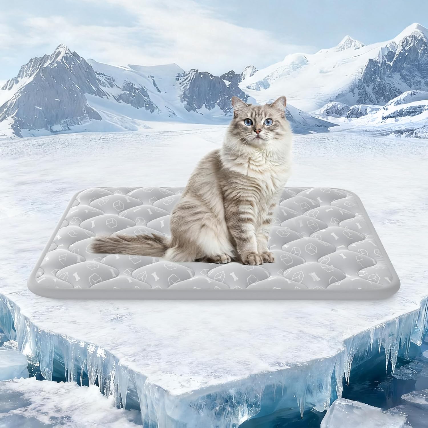Cat sitting on a mattress in a snowy landscape with mountains at Pet Servo