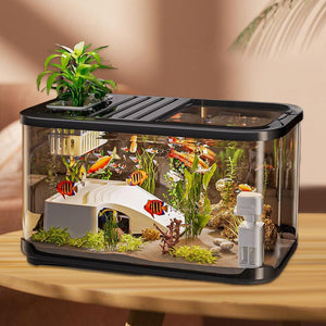 Fish tank with fish and plants on a wooden table at Pet Servo
