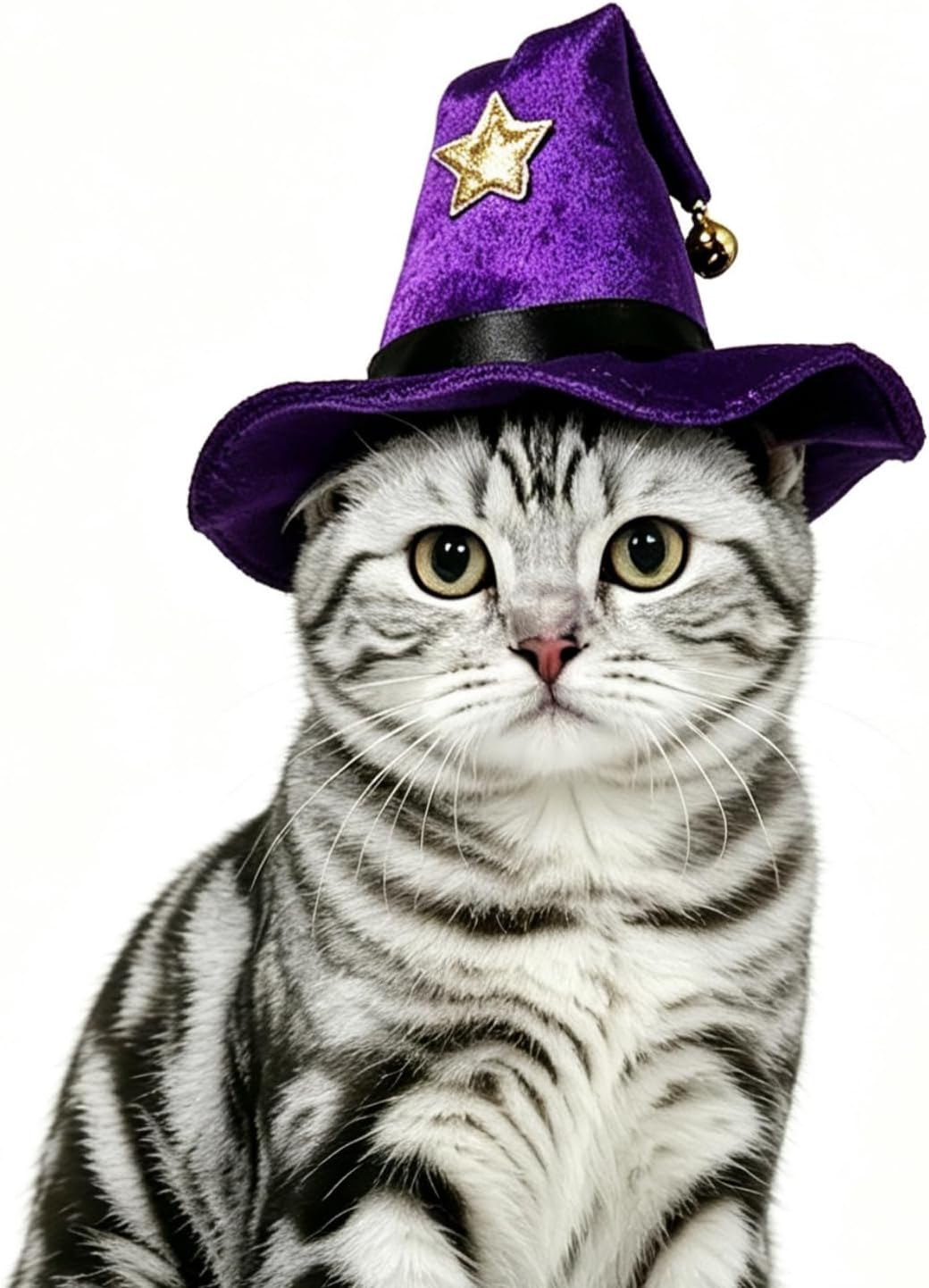 A silver tabby cat wearing a small purple witch hat with a gold star and bell, photographed against a plain white background at Pet Servo
