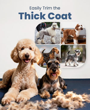 Book cover with images of dogs and text 'Easily Trim the Thick Coat' on a light gray background at Pet Servo