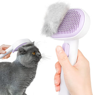 Person grooming a gray cat with a pet grooming brush on a white background at Pet Servo