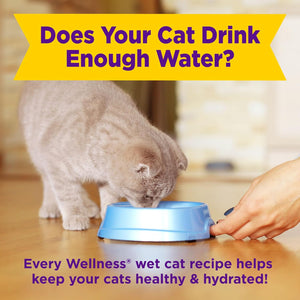 Cat drinking from a blue bowl with text about cat hydration and Wellness wet cat recipes at Pet Servo