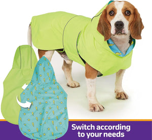 Dog wearing a green raincoat with a blue patterned inner lining, standing on a white background at Pet Servo