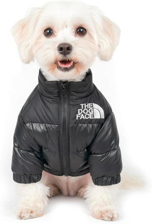 Small dog wearing a black puffer jacket with 'The Dog Face' logo on a white background at Pet Servo