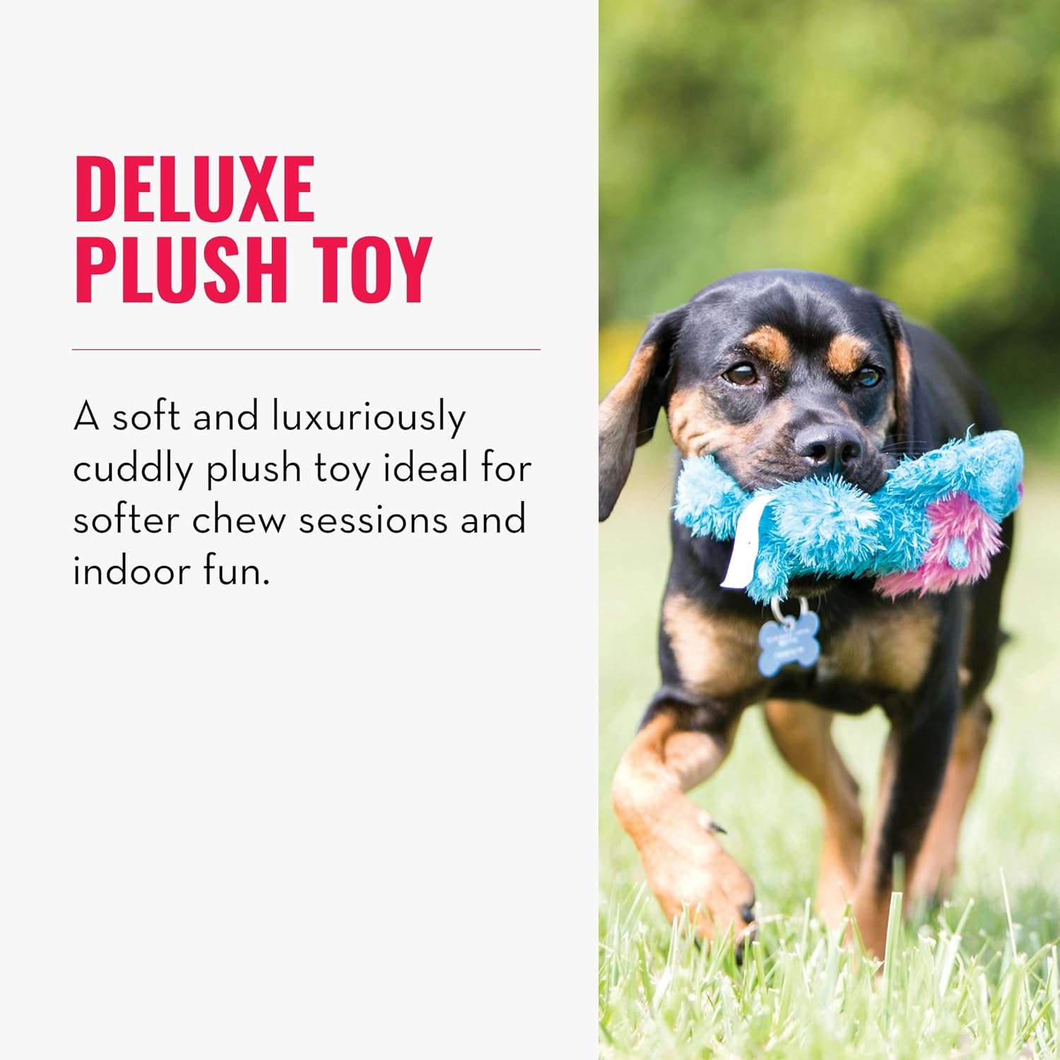 Dog playing with a plush toy outdoors, with text describing the product at Pet Servo
