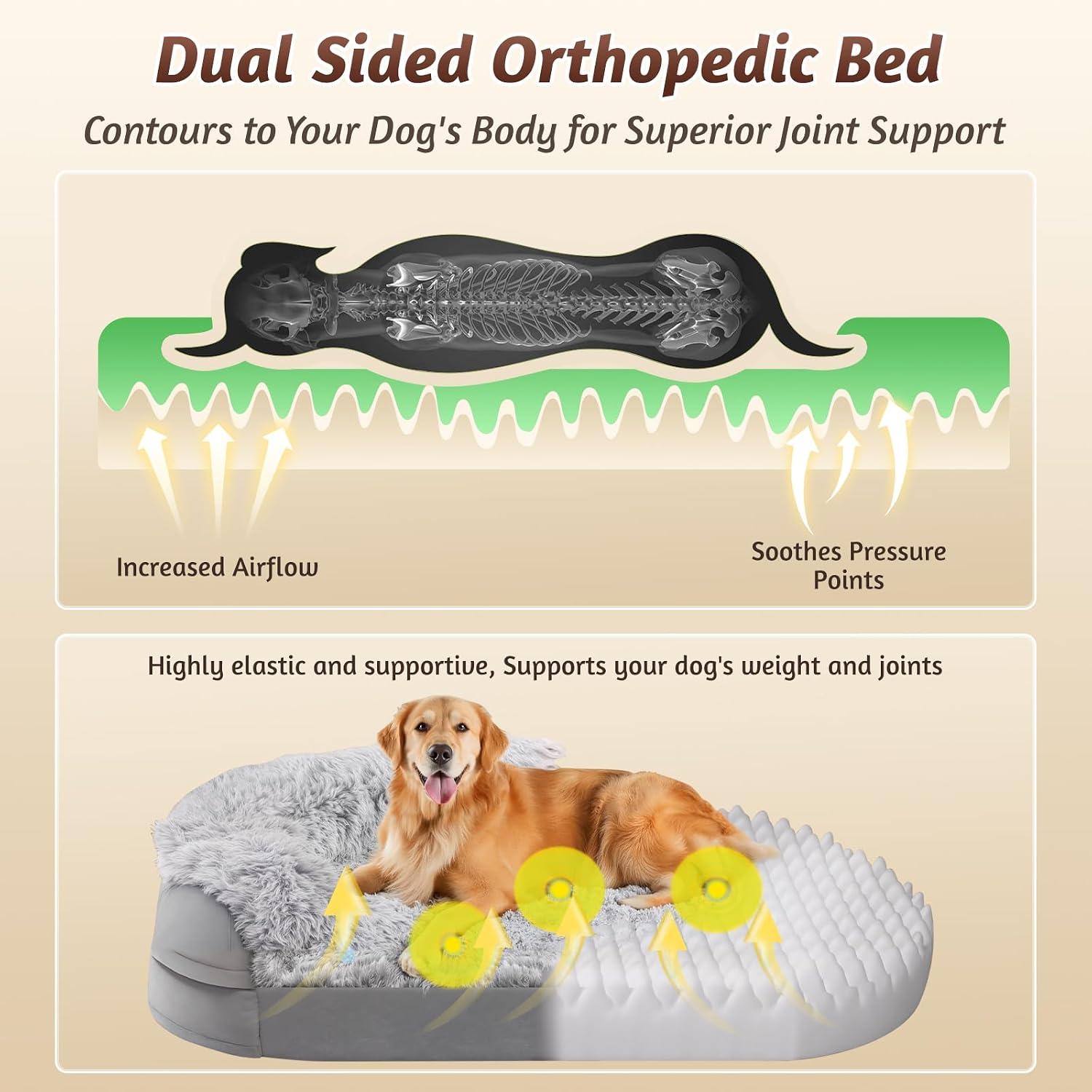 Promotional graphic for a dual-sided orthopedic dog bed, showing a golden retriever lying on the bed and explanatory diagrams of airflow and pressure relief above.