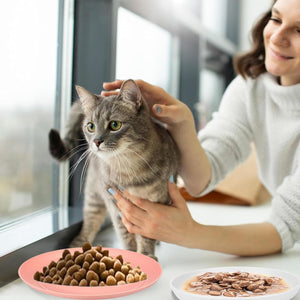 Woman petting a gray cat with a plate of cat food on a table at Pet Servo