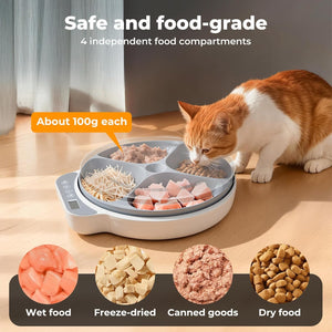 Cat eating from a pet food dish with different food types displayed below at Pet Servo